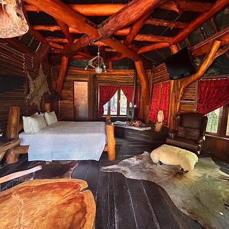 Art Lodge Кампус-ду-Жордан Екстер'єр фото